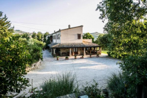Гостиница Agriturismo Col Morino  Пинето
